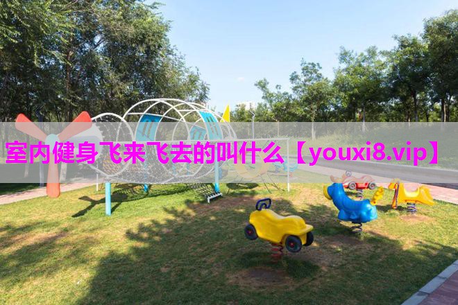 室内健身飞来飞去的叫什么