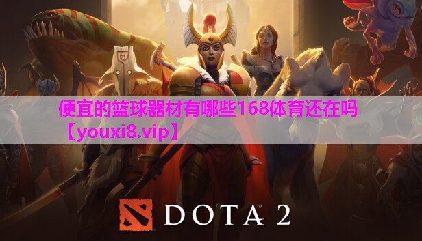 便宜的篮球器材有哪些168体育还在吗