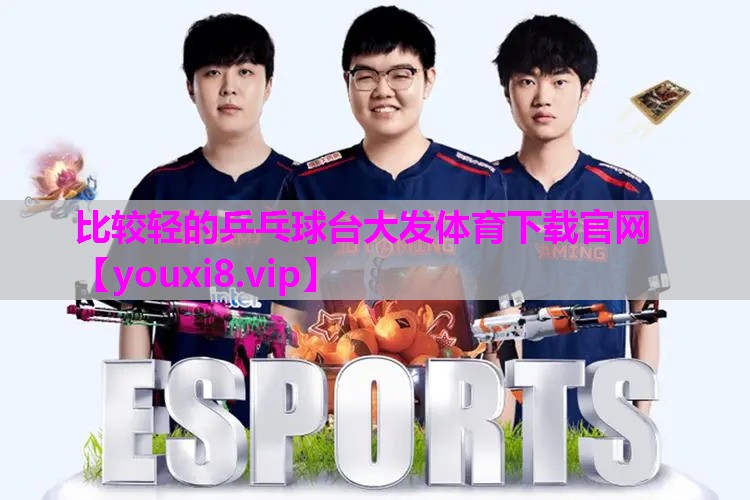 比较轻的乒乓球台大发体育下载官网