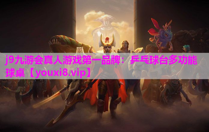 乒乓球台多功能球桌