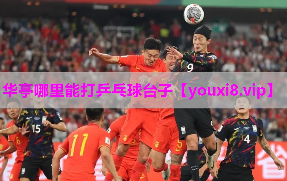 华亭哪里能打乒乓球台子
