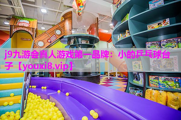 小的乒乓球台子