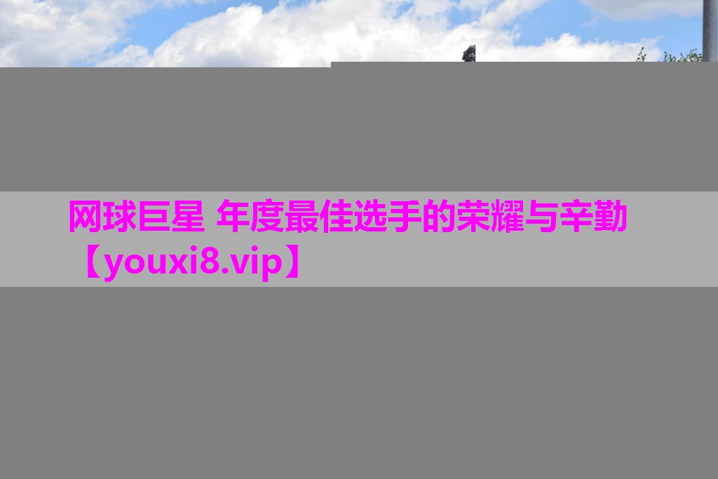 网球巨星 年度最佳选手的荣耀与辛勤