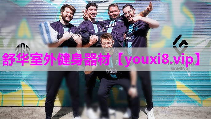 舒华室外健身器材