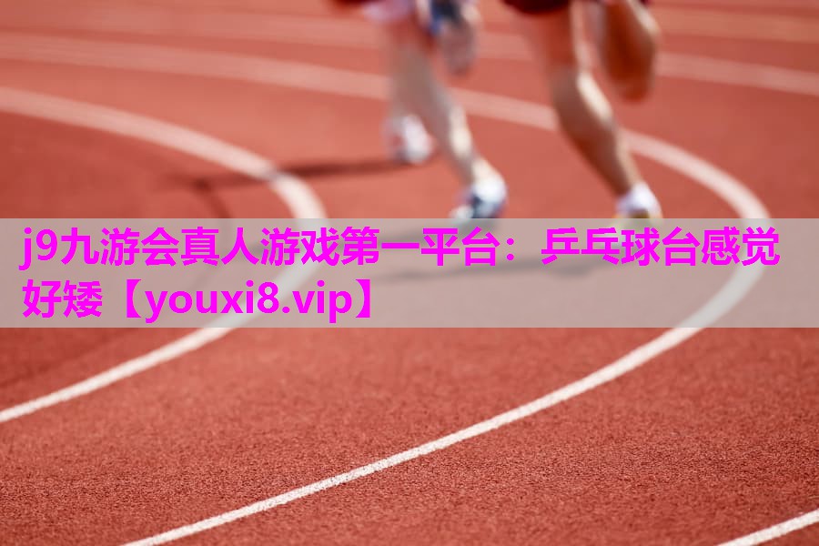 乒乓球台感觉好矮