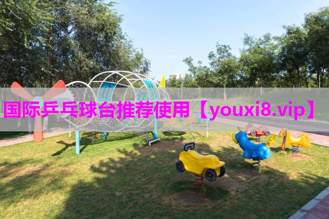 国际乒乓球台推荐使用