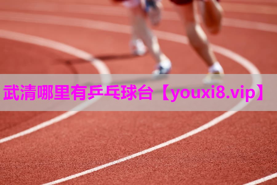 武清哪里有乒乓球台