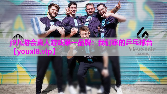 我们家的乒乓球台