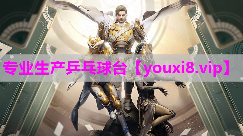 专业生产乒乓球台